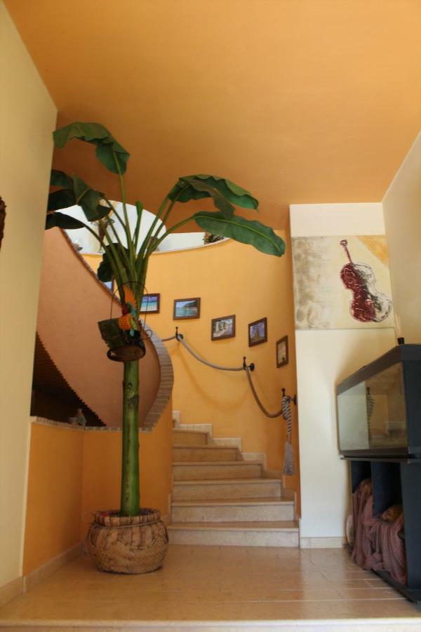 Antigua B&B Porto Potenza Picena Kültér fotó