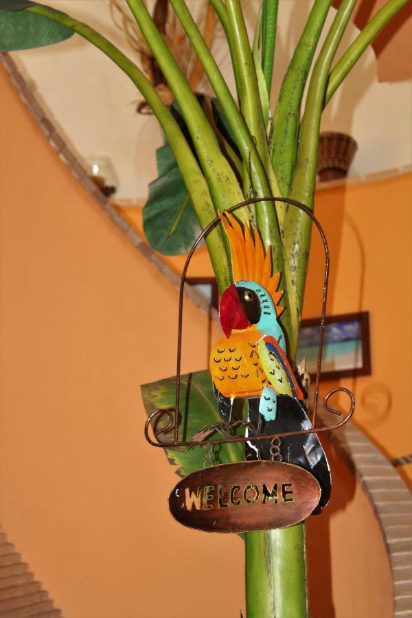 Antigua B&B Porto Potenza Picena Kültér fotó
